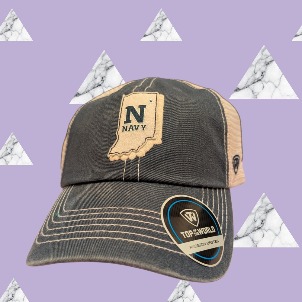 41# Top of the World Gray and Beige Cap